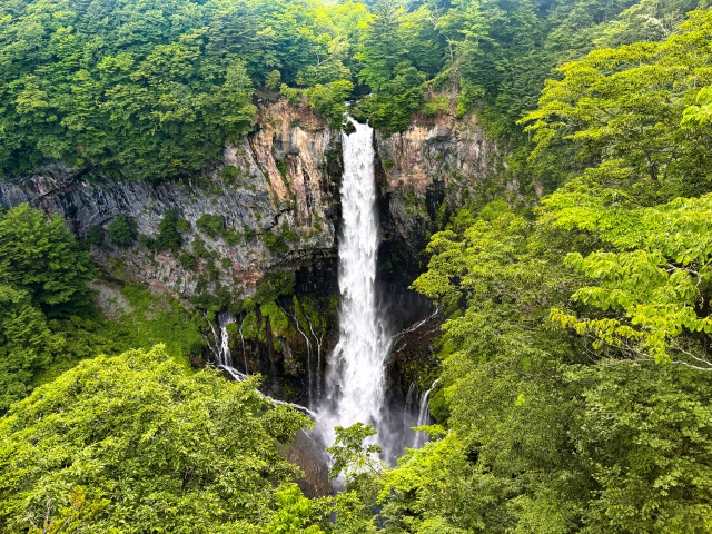 栃木県の離婚相談窓口｜離婚探偵